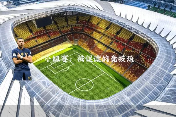 小组赛:被误读的竞技场